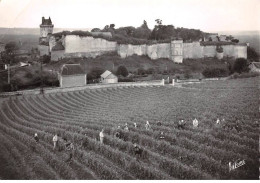 37 . N° Kri10645.chinon .vendanges Au Clos De L'echo .  .n°3.051    . Edition Valorie . Sm 10X15 Cm . - Chinon