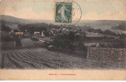 91 - BIEVRES - SAN47019 - Vue Générale - Bievres