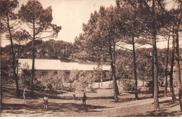 85 - SAINT HILAIRE DE RIEZ - SAN54791 - Colonie De Vacances De Houilles - Un Joli Sous Bois - Saint Hilaire De Riez