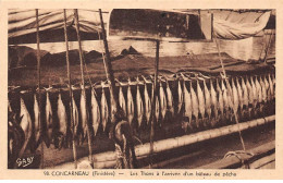 29 - CONCARNEAU - SAN48831 - Les Thons à L'arrivée D'un Bateau De Pêche - Concarneau