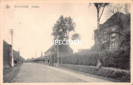 Olieberg - St-Lodewijk - Deerlijk