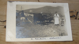 Carte Photo Laboureurs  ................18680 - Macédoine Du Nord