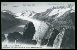 14422 - SUISSE - GLACIER D'ALETCH - Panorama Vom Eggishorn Und Aletschgletscher - Autres & Non Classés