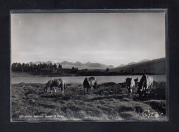 (24/04/24) NORVEGE-CPSM RONDANE - Norwegen