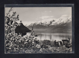 (24/04/24) NORVEGE-CPSM HARDANGER - Norway