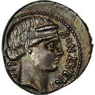 Scribonia, Denier, 62 BC, Rome, Argent, SUP, RIC:416/1b - Röm. Republik (-280 / -27)