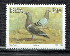Animaux D'élevage D'Afrique Du Sud : Pigeons - Ongebruikt