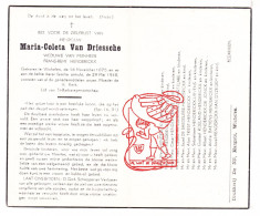 DP Maria Coleta Van Driessche ° Wichelen 1875 † 1948 Henderickx Lanckman Matthys De Knijf Triest De Jonck De Saedeleer - Imágenes Religiosas