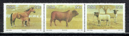 Animaux D'élevage D'Afrique Du Sud : Chevaux, Taureaux Et Moutons (timbres Se Tenant) - Unused Stamps