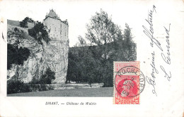 BEGLIQUE - Dinant - Vue Sur Le Château De Walzin - Vue Générale - Carte Postale Ancienne - Dinant