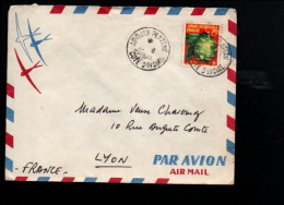 A O F COTE D'IVOIRE AFFRANCHISSEMENT COMPOSE SUR LETTRE POUR LA FRANCE 1959 - Storia Postale