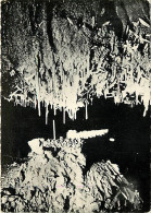 46 - Lacave - Grottes De Lacave - Excentriques En Lumière Noire - Spéléologie - Carte Dentelée - CPSM Grand Format - Voi - Lacave