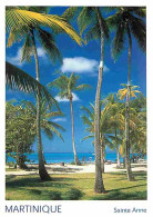 Martinique - Sainte Anne - Plages - CPM - Voir Scans Recto-Verso - Sonstige & Ohne Zuordnung