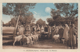 (265) CPA  Relizane  Marché Arabe Les Moutons - Other & Unclassified