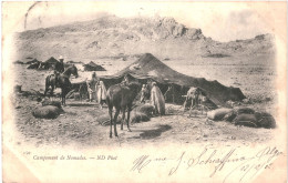 CPA Carte Postale Algérie Campement De Nomade  1902  VM79979 - Hommes