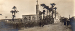 (24/04/24) EGYPTE-CPSM ALEXANDRIE - Alejandría