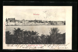 Cartolina Brindisi, Panorama Del Porto  - Brindisi