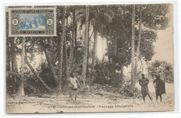 Senegal Francais AOF Paysage Senegalais B/w Pcard Avec AOF  Tp - Non Voyagée - Senegal