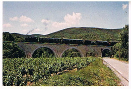 30  SAINT JEAN DU GARD VIADUC DE LA SALINDRINGUE LIGNE ANDUZE - Saint-Jean-du-Gard