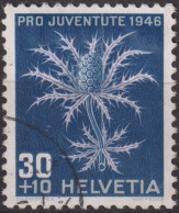 1946 Schweiz Pro Juventute ° Mi:CH 478, Yt:CH 436, Zum:CH J120, Alpenmannstreu - Used Stamps