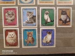 1979	Mongolia	Cats   (F90) - Mongolië