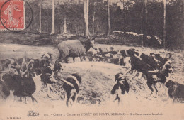 FONTAINEBLEAU(VENERIE) CHASSE A COURRE - Fontainebleau