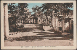 Ruines Romaines, Jardin D'Orléans, Sétif, C.1920 - Photo-Africaines CPA EPA26 - Setif