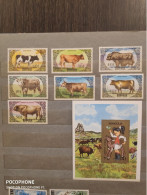 1985	Mongolia	Cows   (F90) - Mongolië