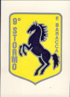 1979-cartolina 9 Stormo Francesco Baracca Volo Speciale Rimini Grazzanise - Correo Aéreo