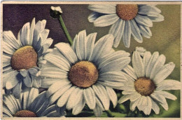 1944-cartolina Illustrata "margherite" Affrancata Coppia 20c.Imperiale Annullo V - Poststempel