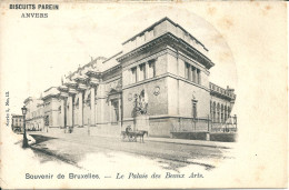 Le Palais Des Beaux Arts - Monuments