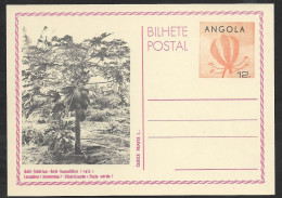 Angola Carte Entier Postal 1982 Papayer Carica Papaya Fruit Stationery - Angola