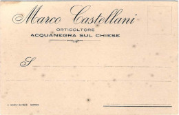 1930circa-"Marco Castellani Orticoltore-Acquanegra Sul Chiese Mantova"cartolina  - Mantova