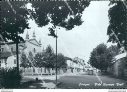 Bn151 Cartolina Soragna Viale Giuseppe Verdi Provincia Di Parma - Parma