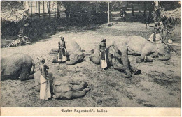 1910circa-Ceylon Gustav Hagenbech's Indiani, Piega Angolare - Sri Lanka (Ceilán)