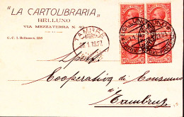 1927-LEONI Blocco Quattro C.10 Su Cartolina Intestazione LA CARTOLIBRARIA Bellun - Belluno