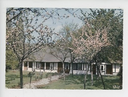 Luxuriante Normandie : Chaumière Normande Et Pommiers En Fleurs N°1597 Cap - Haute-Normandie