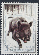 Belgien Belgium Belgique - Wildschwein (Sus Scrofa) (MiNr: 1785) 1974 - Gest Used Obl - Usados