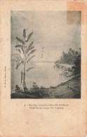 NOUVELLE CALEDONIE - Bananier Canaque En Nouvelle Calédonie - Carte Postale Ancienne - Nuova Caledonia