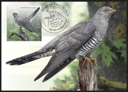 ESTONIA 2024 Bird Of The Year,The Common Cuckoo,Aves,Animal,Summer Migrant To Europe & Asia, Maxicard, Maximcard (**) - Estonie