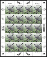 ESTONIA 2024 Bird Of The Year,The Common Cuckoo,Aves,Animal,Summer Migrant To Europe & Asia, Maxicard,FullSheet MNH (**) - Estonia