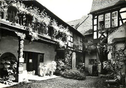 68 - Riquewihr - Cour Des Cigognes - Mention Photographie Véritable - CPSM Grand Format - Voir Scans Recto-Verso - Riquewihr