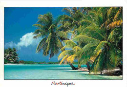 Martinique - Plages - CPM - Voir Scans Recto-Verso - Sonstige & Ohne Zuordnung