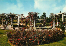 42 - Riorges - Parc De La Mairie - Fleurs - CPM - Voir Scans Recto-Verso - Riorges