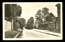 77 Seine Et Marne Annet Sur Marne L ' Entrée Route De Fresnes  ( Format 9cm X 14cm ) - Autres & Non Classés