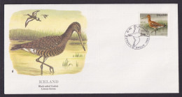 Island Iceland Fauna Vögel Uferschnäpfe Schöner Künstler Brief - Cartas & Documentos