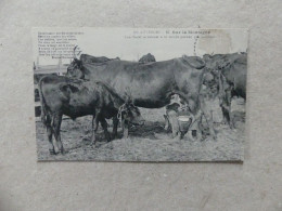 En Auvergne Sur La Montagne Traite Vaches Salers Lou Bedel Es Estocat O Lo Combo Penden Que Moonzou Etienne Marcenac 67 - Veeteelt