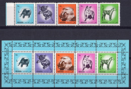 Manama 1972, Animals, Monkey, Dog, 5val +5val In Block - Cani