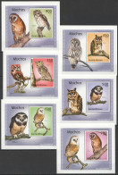 B1372 2010 Guinea-Bissau Fauna Birds Owls Mochos 6 Lux Bl Mnh - Other & Unclassified