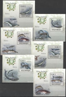 B1399 2010 Mozambique Marine Life Whales Baleias 6 Lux Bl Mnh - Marine Life